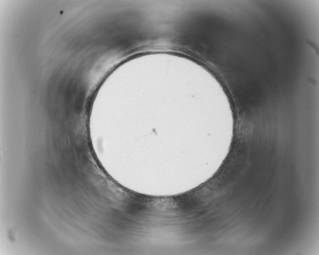 X0000103931464200810031247