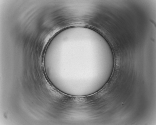 X0000103931466200810031247