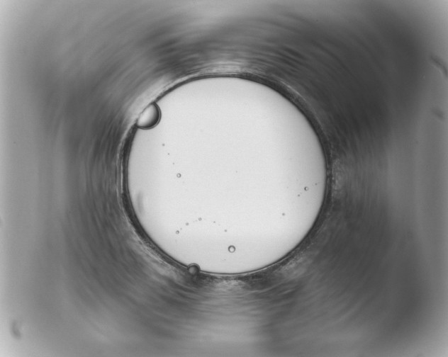 X0000103931467200810031247