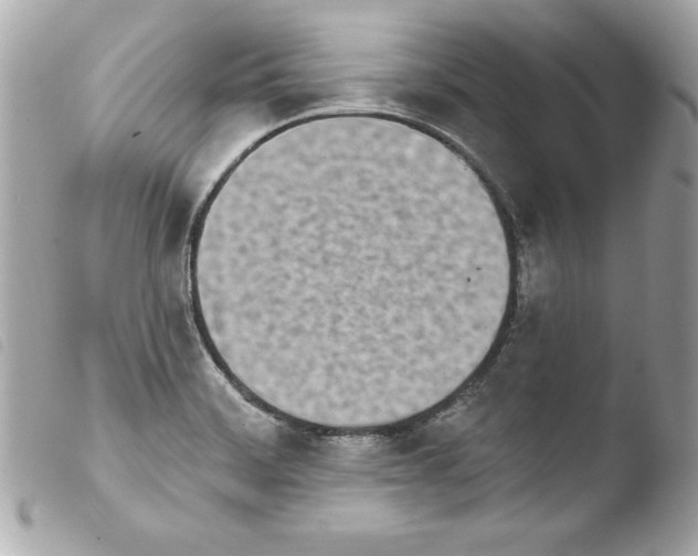 X0000103931468200810031247