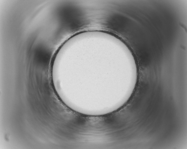 X0000103931469200810031247
