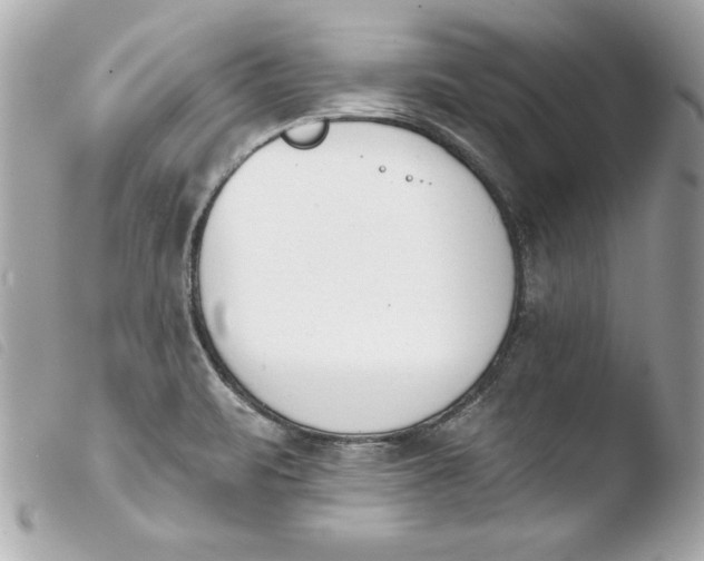 X0000103931471200810031247