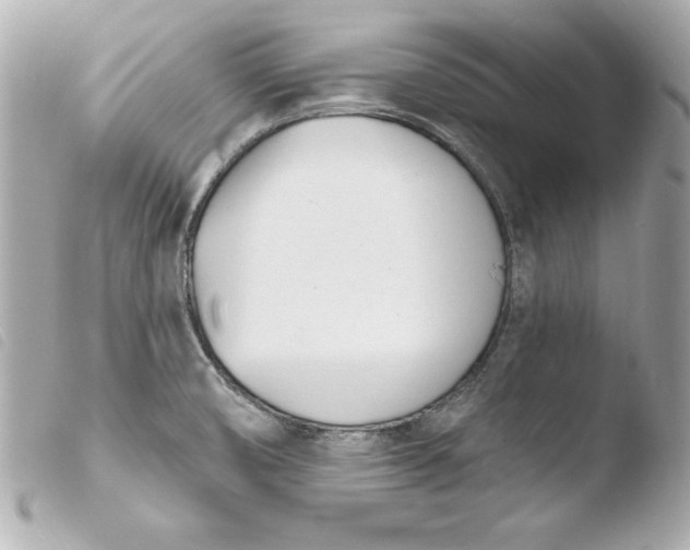 X0000103931474200810031247