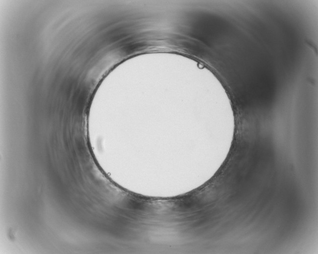 X0000103931476200810031247