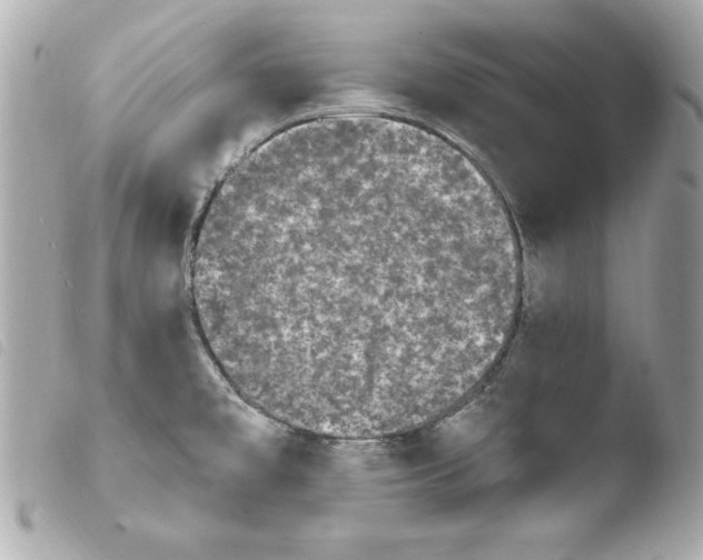 X0000103931477200810031247