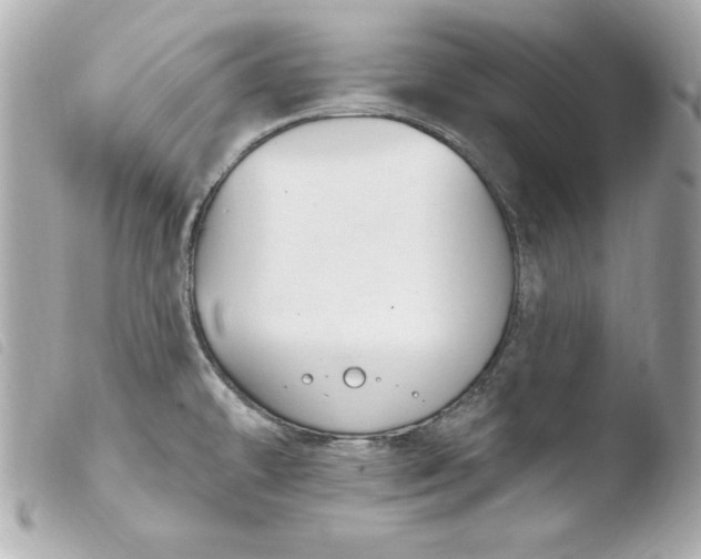 X0000103931478200810031247