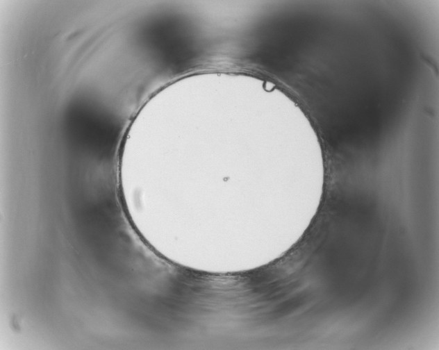 X0000103931479200810031247