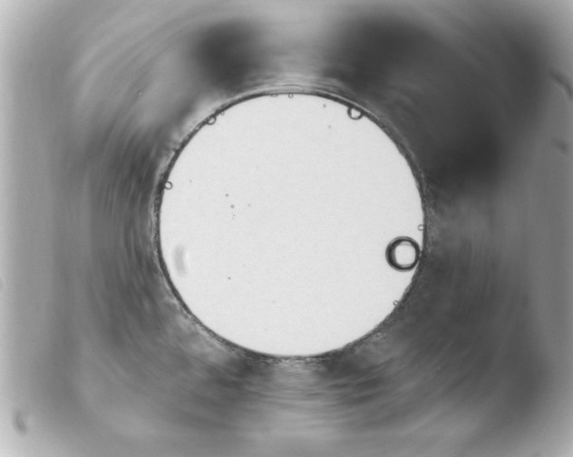 X0000103931480200810031247