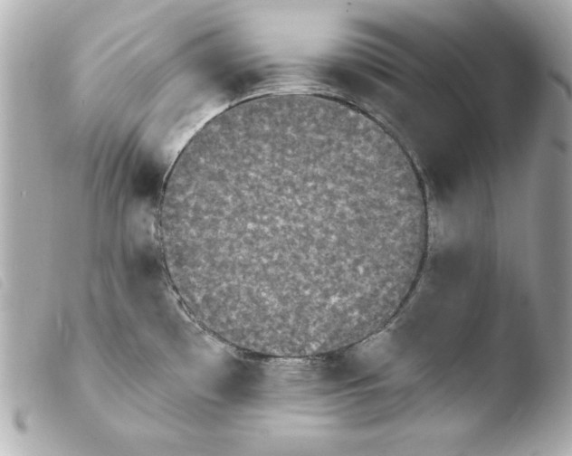 X0000103931481200810031247