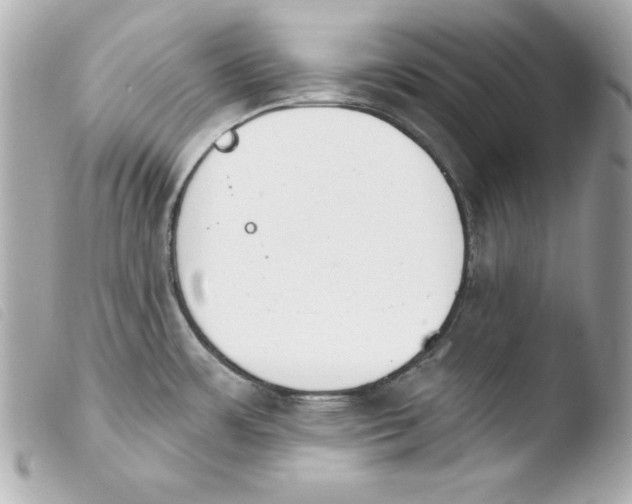 X0000103931483200810031247