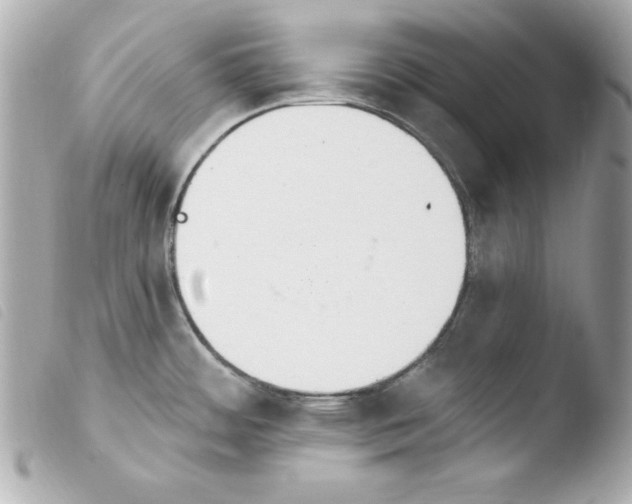 X0000103931484200810031247