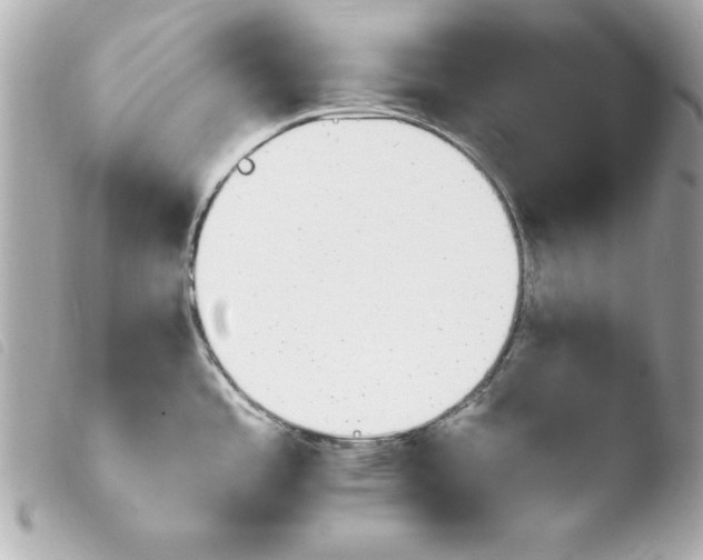 X0000103931485200810031247