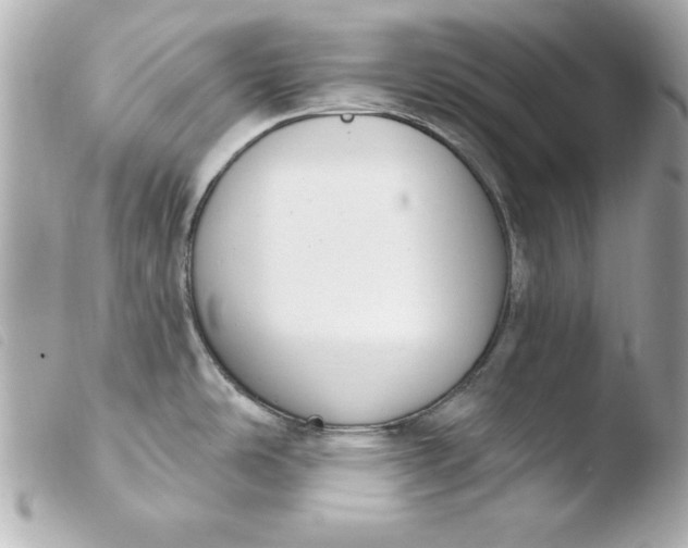 X0000103931486200810031247