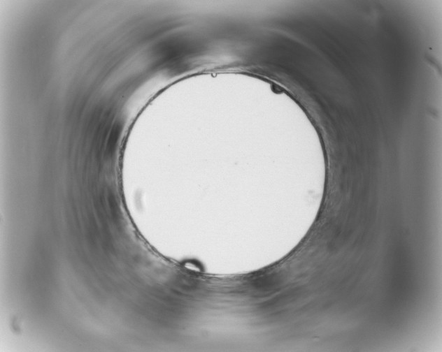 X0000103931488200810031247