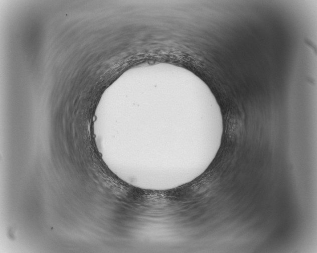 X0000103931489200810031246