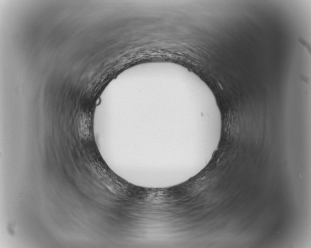 X0000103931490200810031246