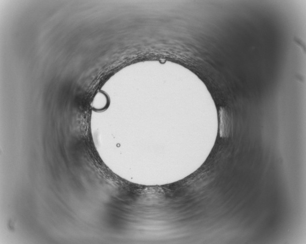X0000103931491200810031246