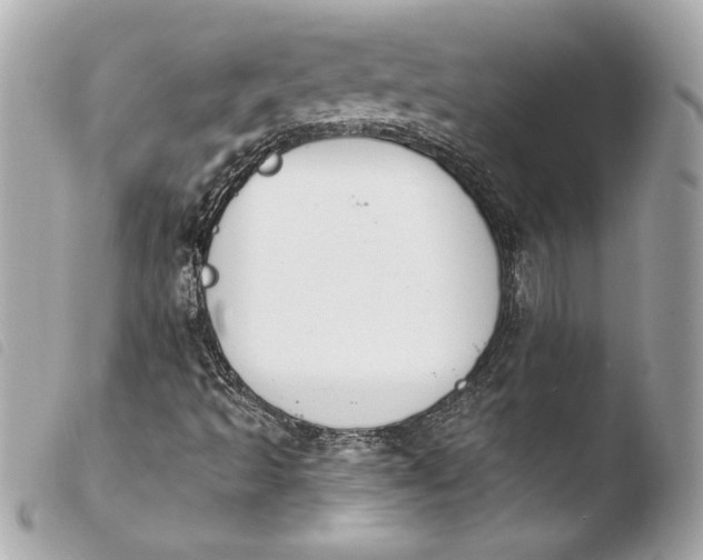 X0000103931493200810031246