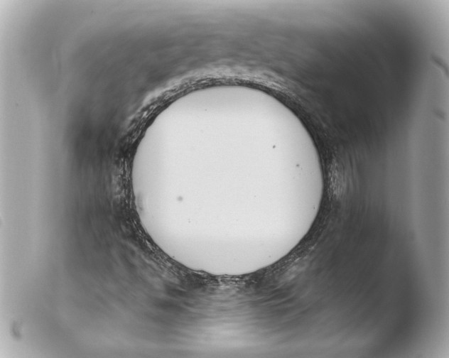 X0000103931494200810031246