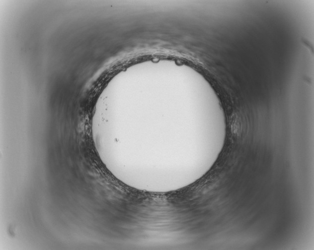 X0000103931495200810031246