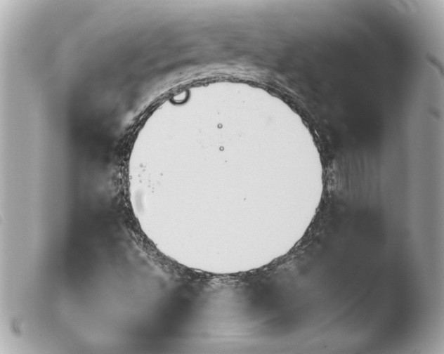 X0000103931496200810031246