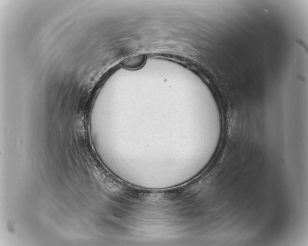 X0000103931497200810031246
