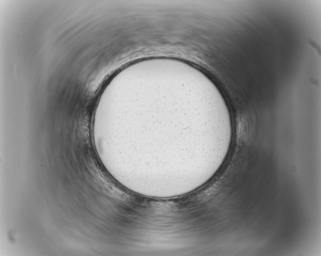 X0000103931498200810031246