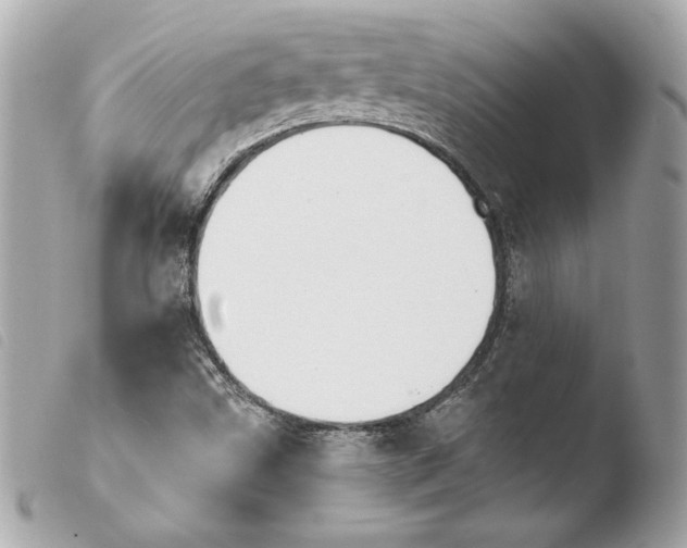 X0000103931499200810031246