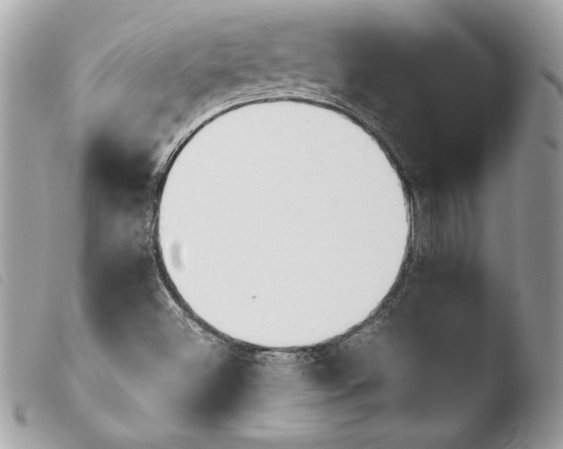 X0000103931500200810031246