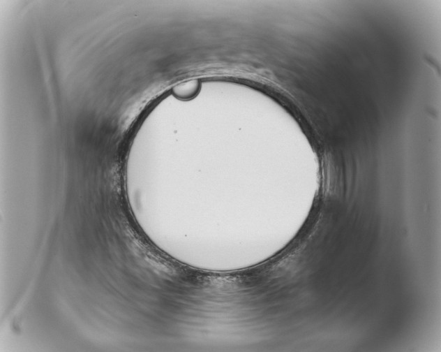 X0000103931501200810031246