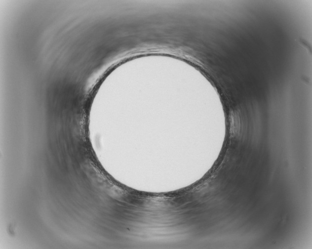 X0000103931502200810031246