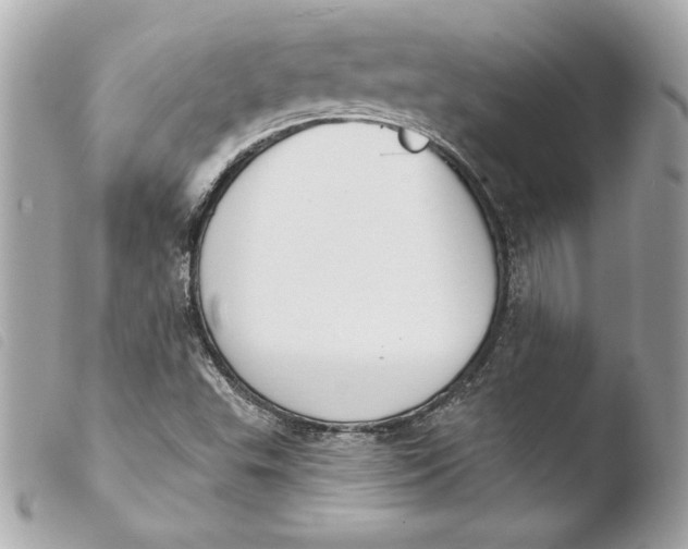 X0000103931503200810031246