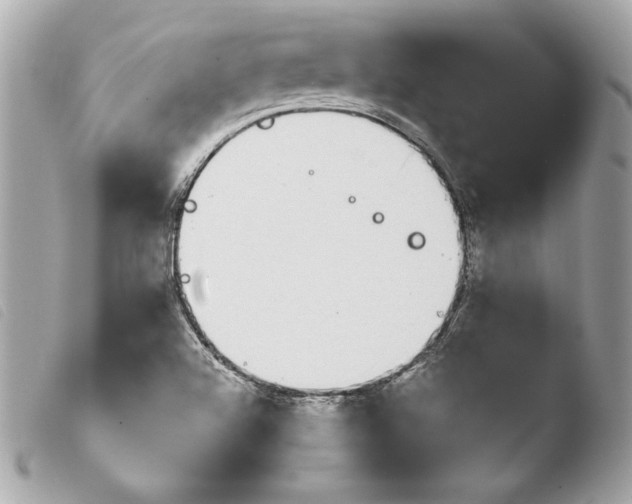 X0000103931504200810031246