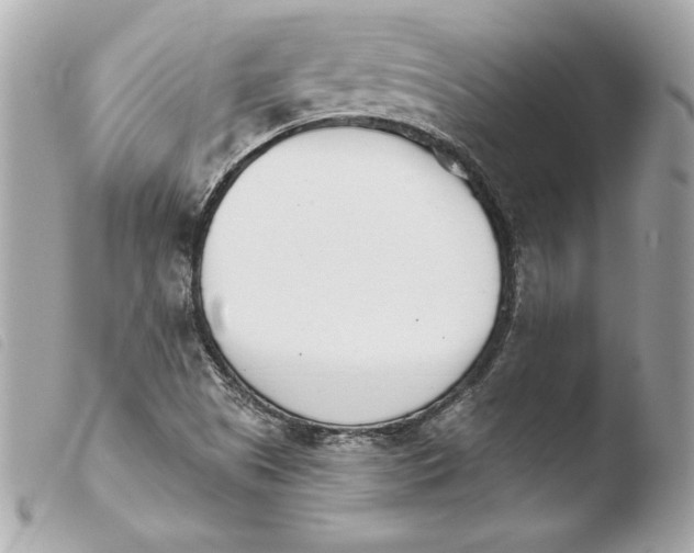 X0000103931505200810031246