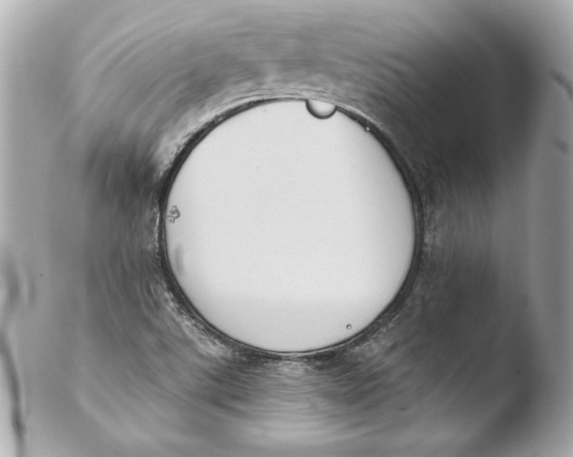 X0000103931507200810031246