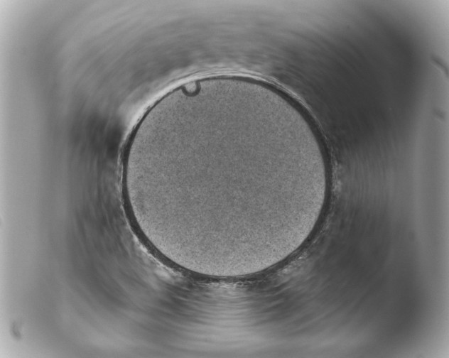 X0000103931508200810031246