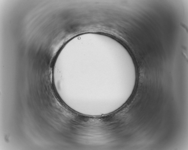 X0000103931509200810031246