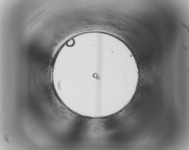 X0000103931510200810031246