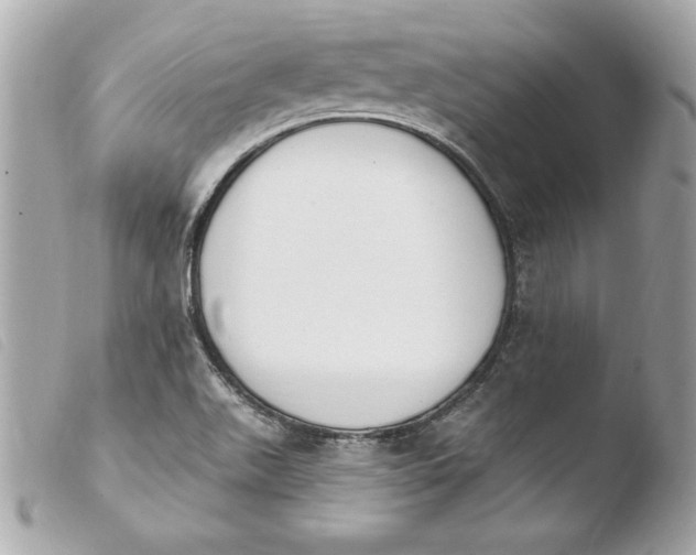 X0000103931511200810031246