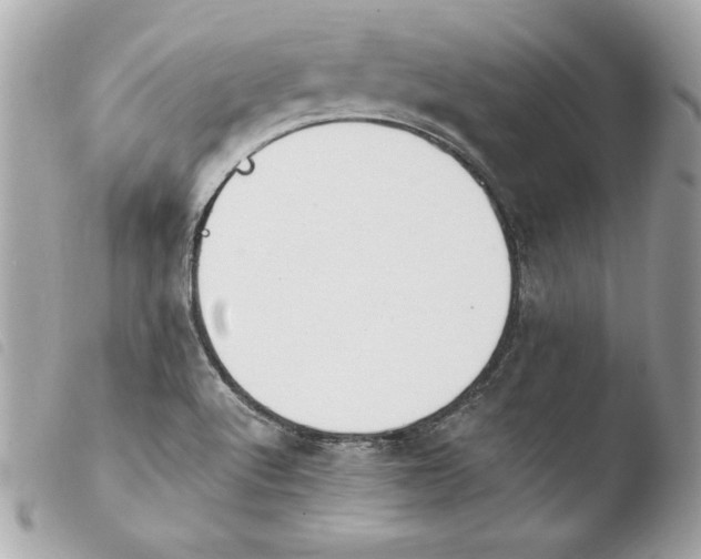 X0000103931512200810031246