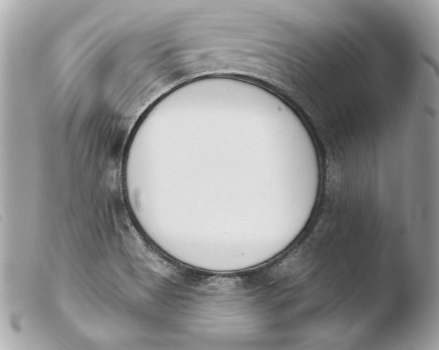 X0000103931513200810031247