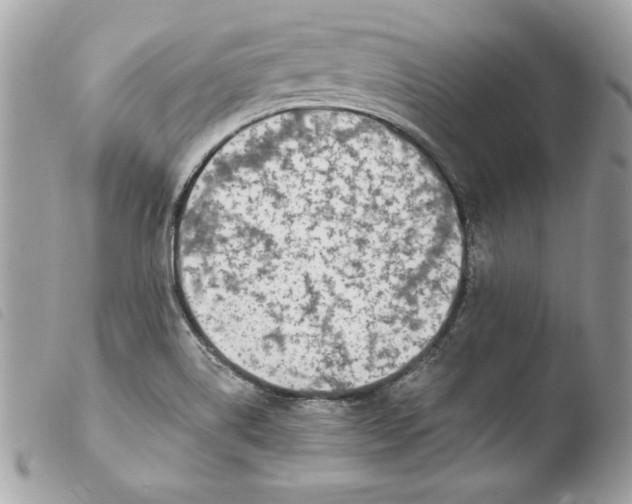 X0000103931514200810031247