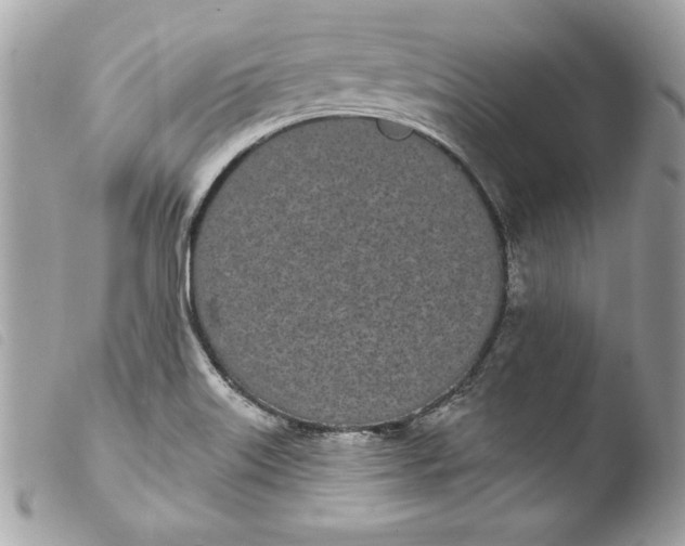 X0000103931515200810031247