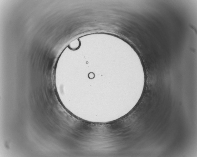 X0000103931516200810031247