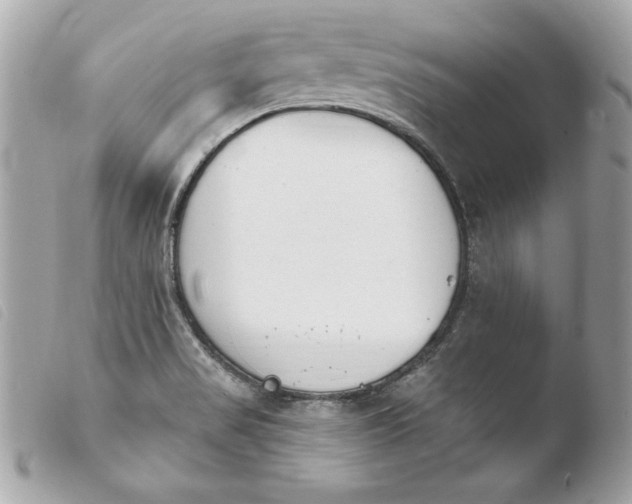 X0000103931517200810031247