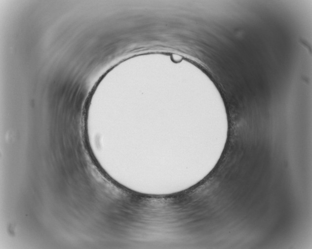X0000103931518200810031247