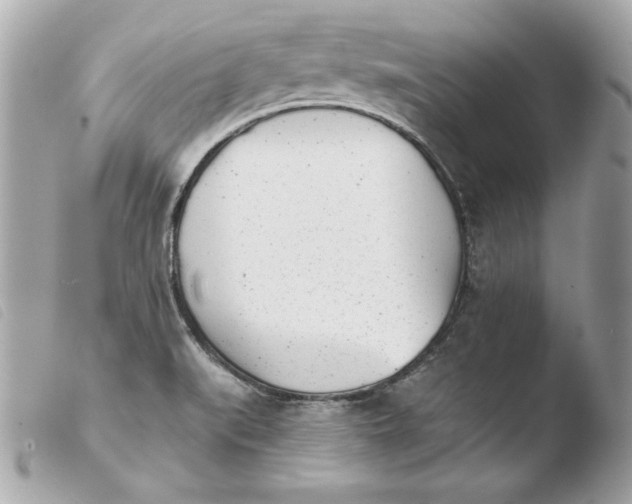 X0000103931519200810031247