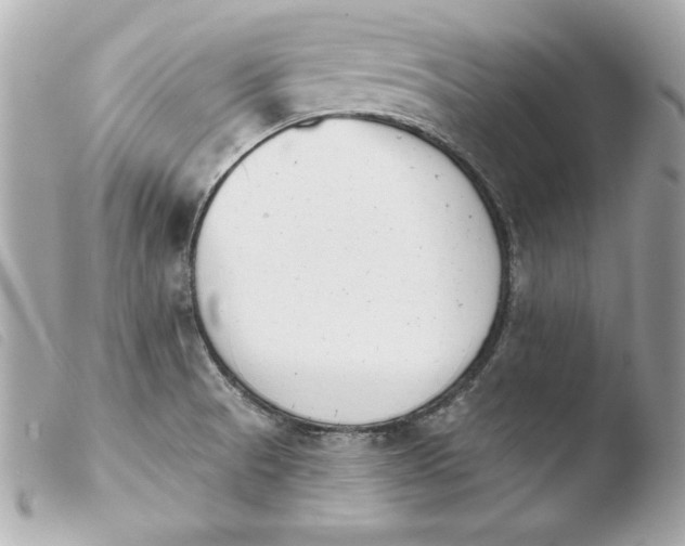 X0000103931521200810031247