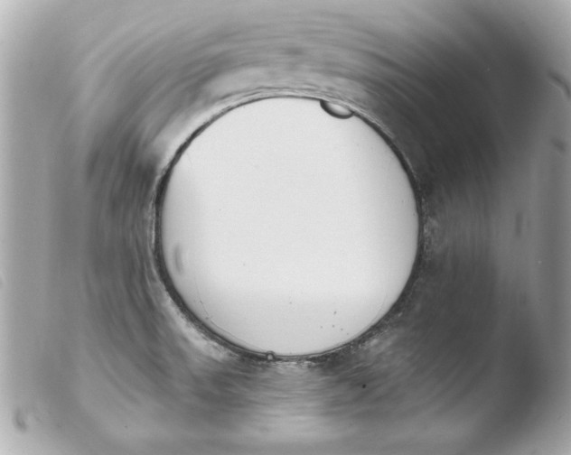 X0000103931523200810031247