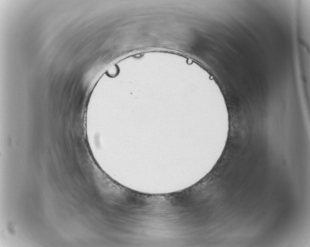 X0000103931524200810031247